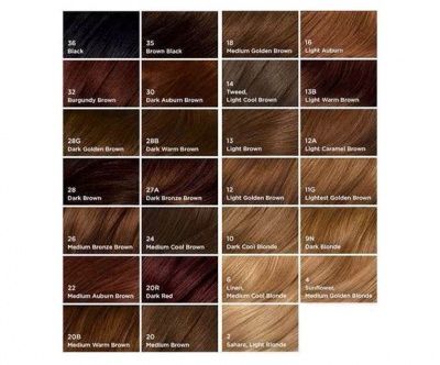 Easy Color Pack of 3 Beard & Moustache and Quick Application Hair Restorer